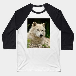 Arctic Wolf Baseball T-Shirt